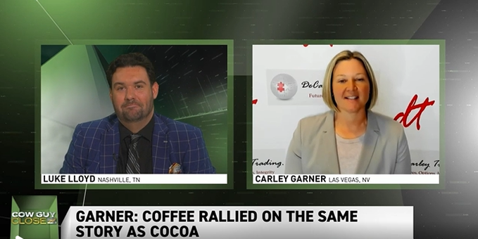 cow guy coffee cocoa futures