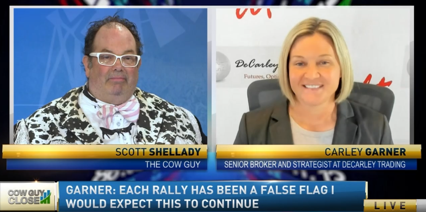 scott shellady cow guy close crude oil carley garner