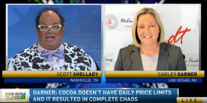 COCOA FUTURES CRASH