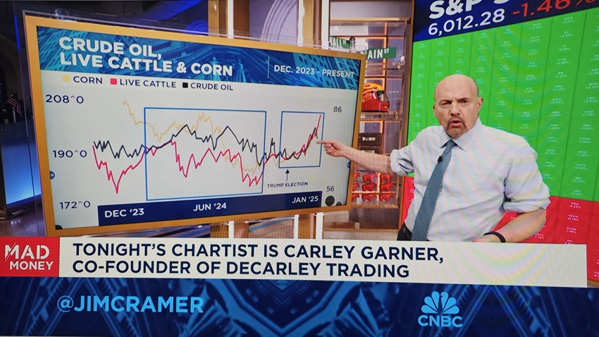 Jim cramer mad money commodity analyst carley garner