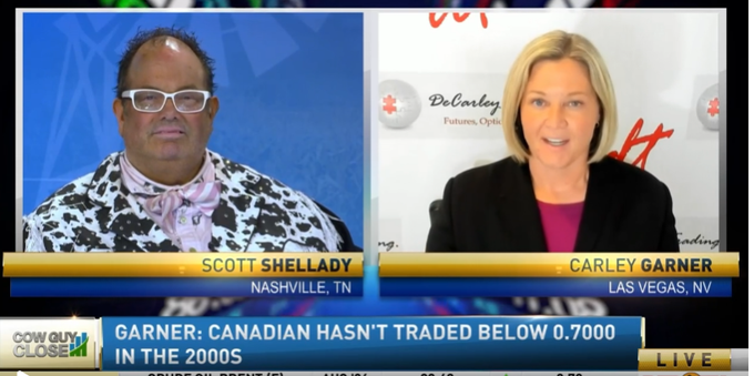 canadian dollar cow guy close rfdtv