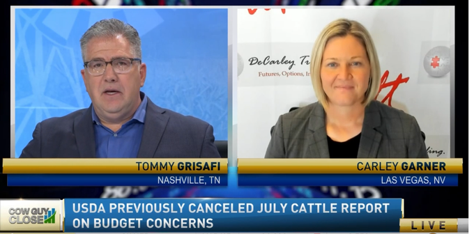 live cattle futures and corn tommy grisafi